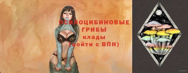 метадон Покачи