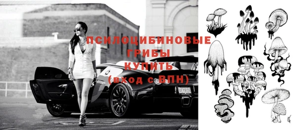 метадон Покачи