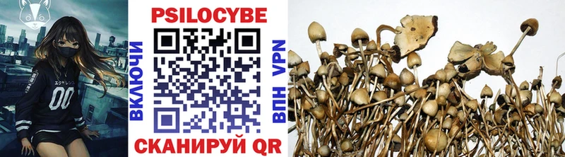Купить закладки  Карабаново  Галлюциногенные грибы прущие грибы 